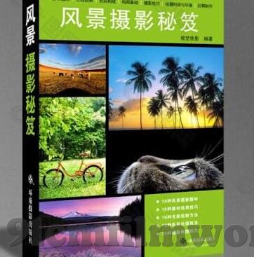 dxcm大象传媒-数字时代大象的舞动，DXCM大象传媒的创新之路